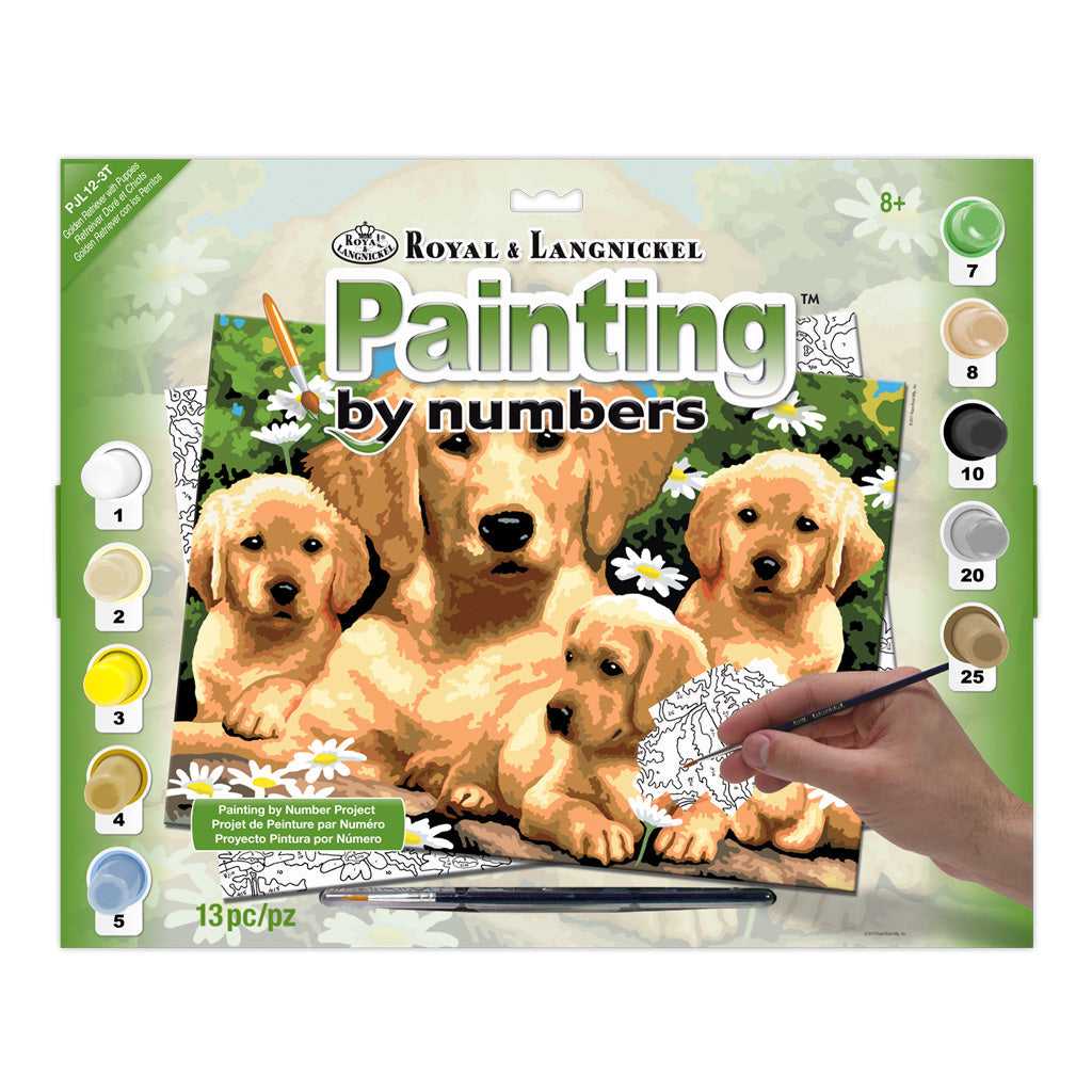 PJL12 - Painting by numbers™ 13pc 11.25" x 15.375" Golden Retriever Puppies Painting Project