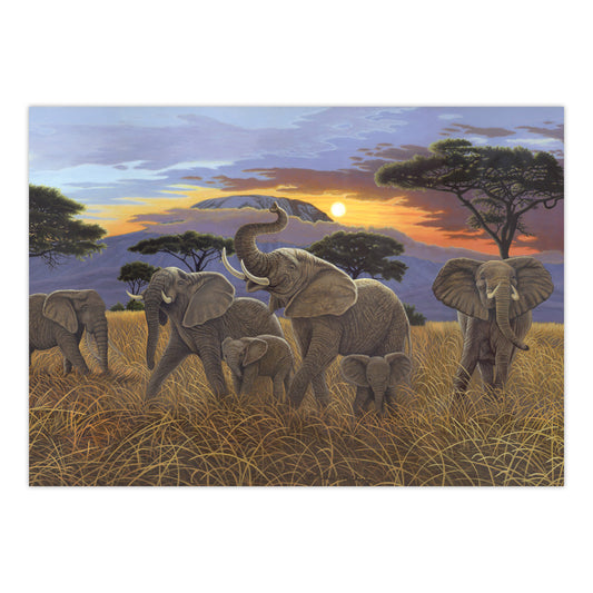 PJL21 | Painting by numbers™ 13pc 11.25" x 15.375" Sunset on Kilimanjaro Painting Project