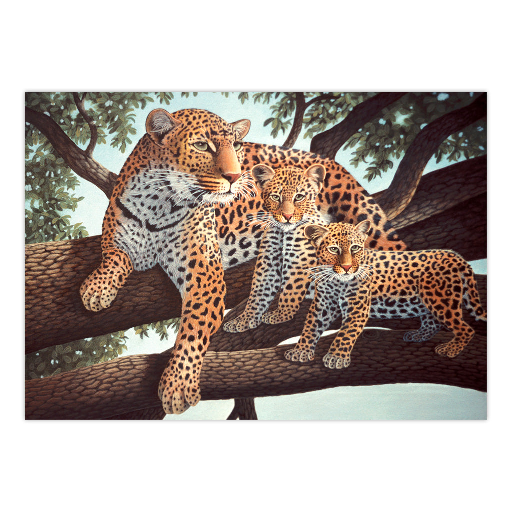 PJL24 | Painting by numbers™ 13pc 11.25" x 15.375" African Leopard & Cubs Painting Project