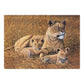 PJL26 | Painting by numbers™ 13pc 11.25" x 15.375" African Lioness & Cubs Painting Project