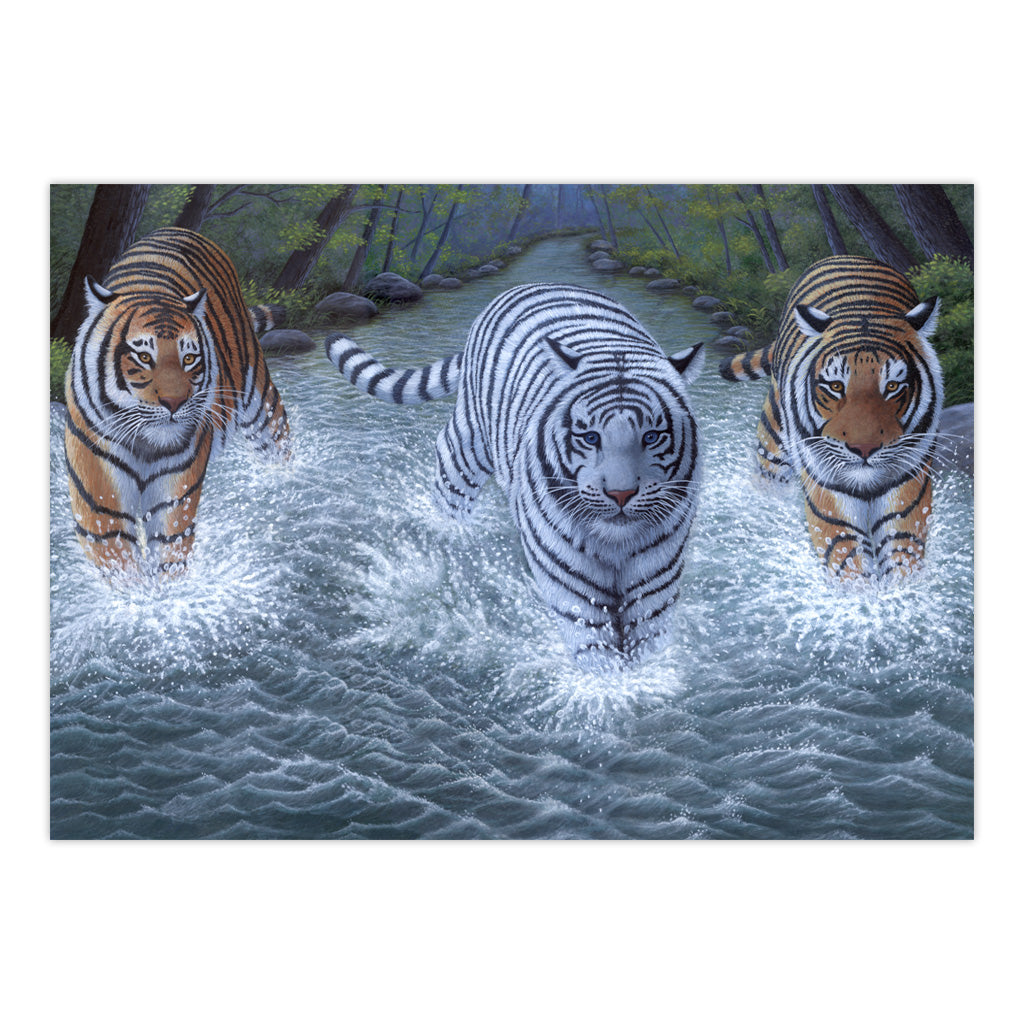 PJL34 | Painting by numbers™ 13pc 11.25" x 15.375" Three Tigers Painting Project