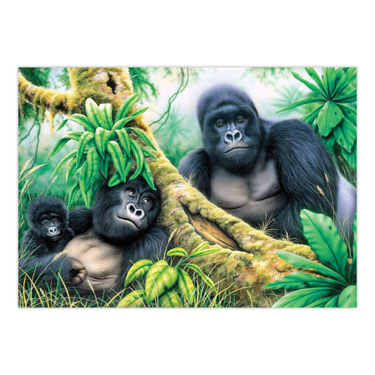 PJL46 | Painting by numbers™ 13pc 11.25" x 15.375" Mountain Gorillas Painting Project