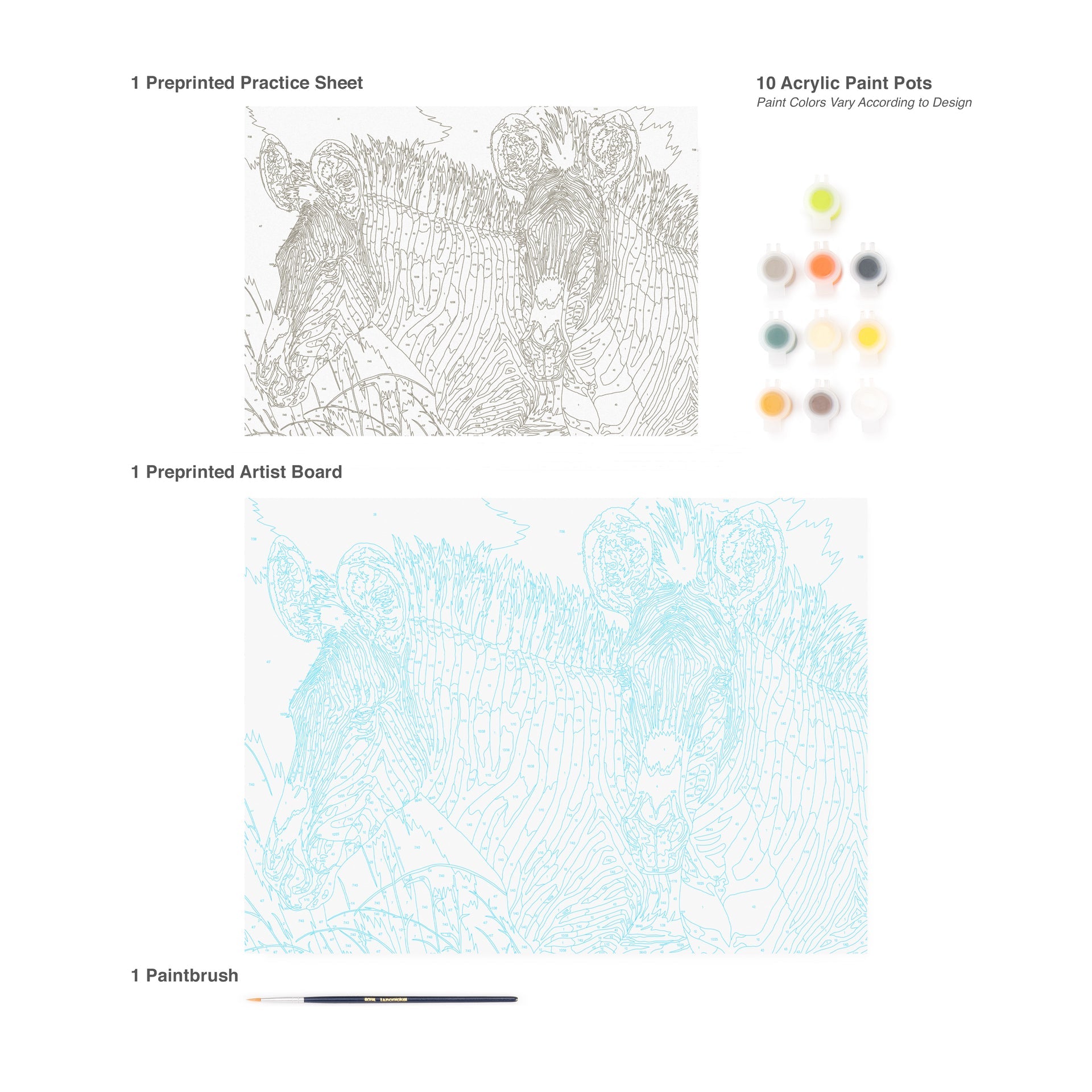 PJL49 | Painting by numbers™ 13pc 11.25