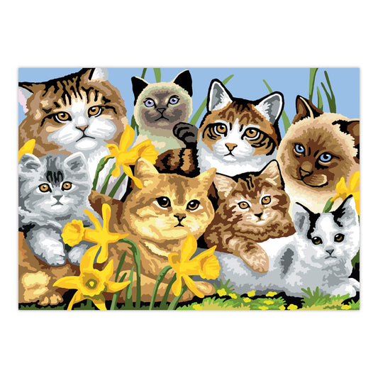 PJL6 | Painting by numbers™ 13pc 11.25" x 15.375" Cats Montage Painting Project