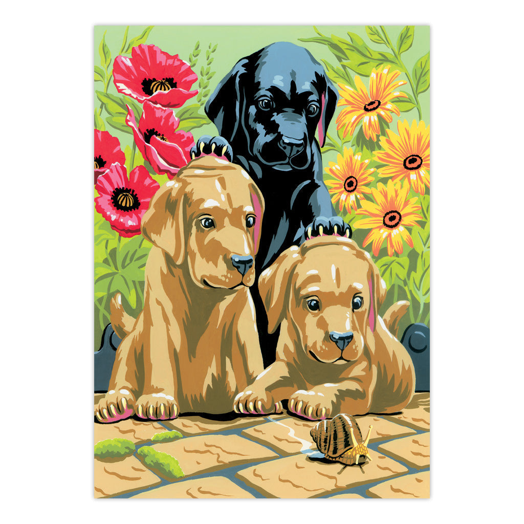 PJS30 | Painting by numbers™ 10pc 8.75" x 11.375" Labrador Puppies Painting Project