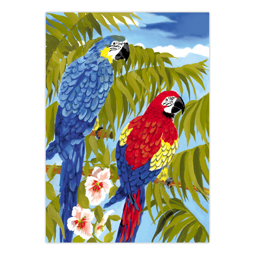 PJS35 | Painting by numbers™ 10pc 8.75" x 11.375" Parrots Painting Project