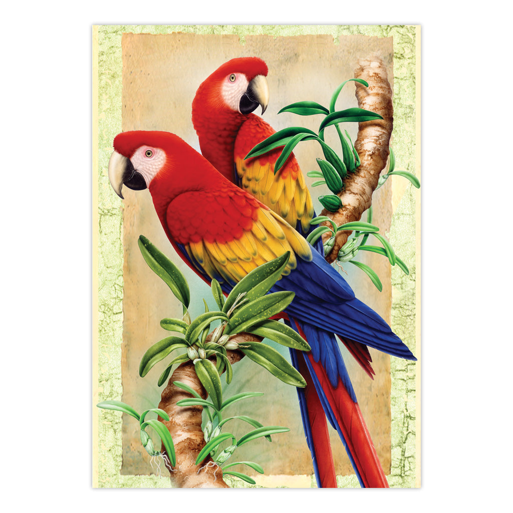 PJS38 | Painting by numbers™ 10pc 8.75" x 11.375" Bamboo Parrots Painting Project