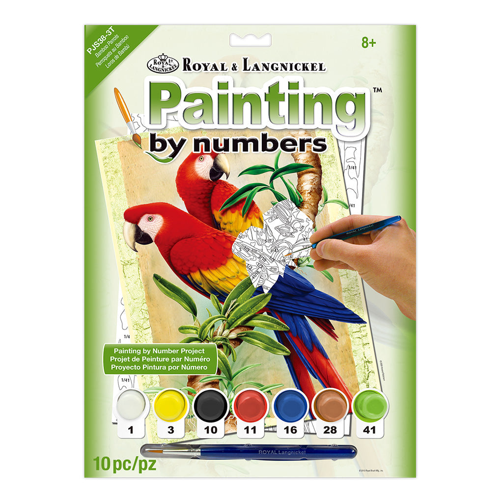 PJS38 - Painting by numbers™ 10pc 8.75" x 11.375" Bamboo Parrots Painting Project