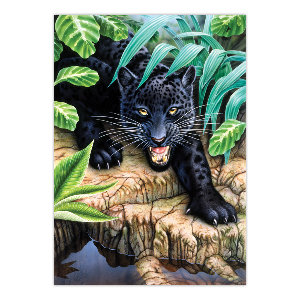 PJS42 | Painting by numbers™ 10pc 8.75" x 11.375" Black Leopard Painting Project