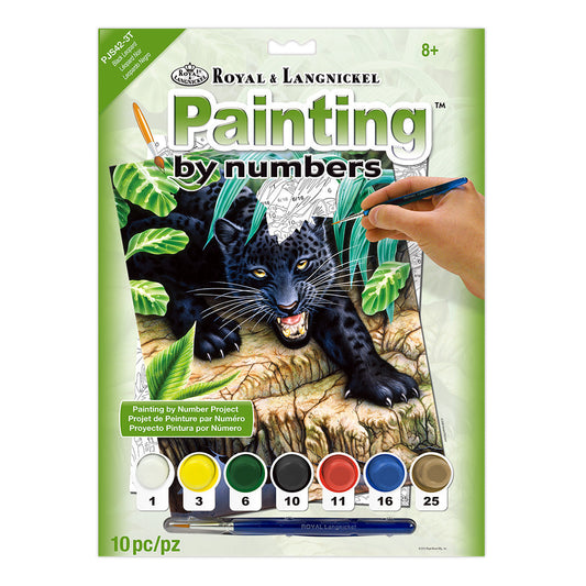 PJS42 - Painting by numbers™ 10pc 8.75" x 11.375" Black Leopard Painting Project