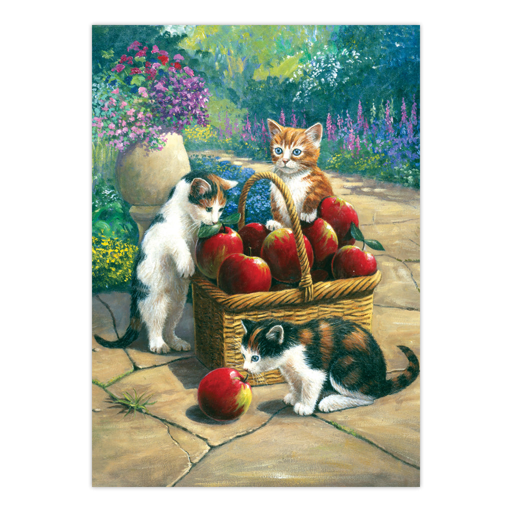 PJS48 | Painting by numbers™ 10pc 8.75" x 11.375" Bumper Crop Painting Project