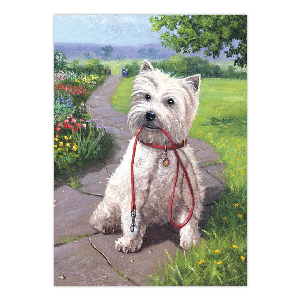 PJS49 | Painting by numbers™ 10pc 8.75" x 11.375" Time for a Walk Painting Project