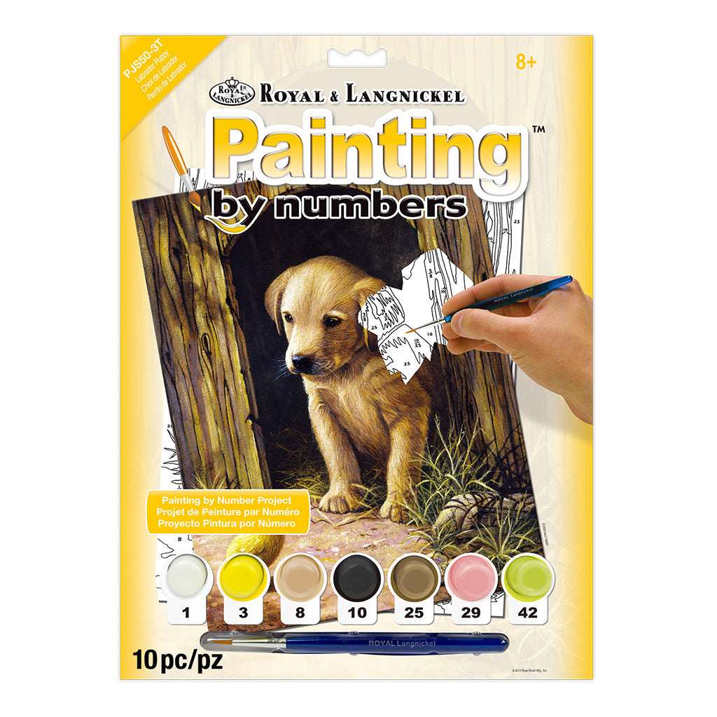 PJS50 - Painting by numbers™ 10pc 8.75" x 11.375" Labrador Puppy Painting Project