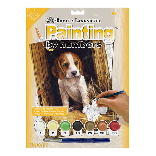 PJS58 - Painting by numbers™ 10pc 8.75" x 11.375" Beagle Puppy Painting Project