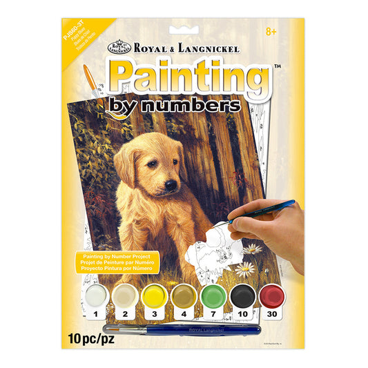 PJS60 - Painting by numbers™ 10pc 8.75" x 11.375" Puppy Blues Painting Project