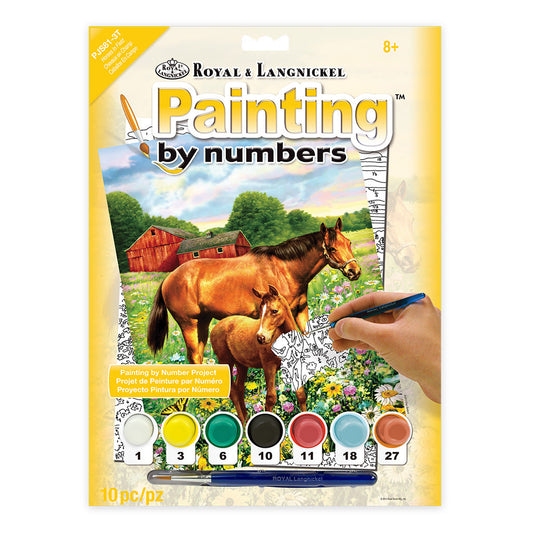 PJS81 - Painting by numbers™ 10pc 8.75" x 11.375" Horse in Field Painting Project