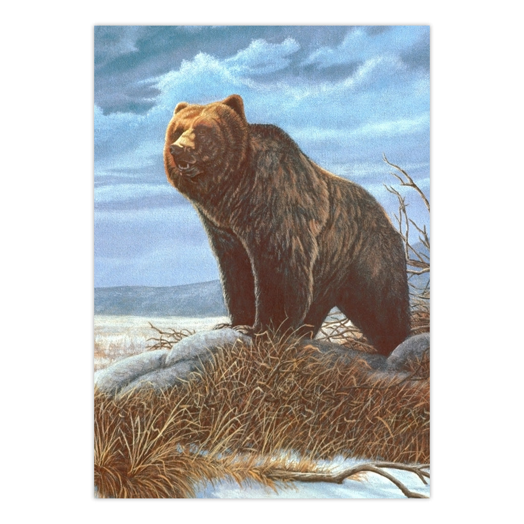 PJS82 | Painting by numbers™ 10pc 8.75" x 11.375" Grizzly Bear Painting Project