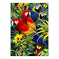 PJS83 | Painting by numbers™ 10pc 8.75" x 11.375" Majestic Macaws Painting Project