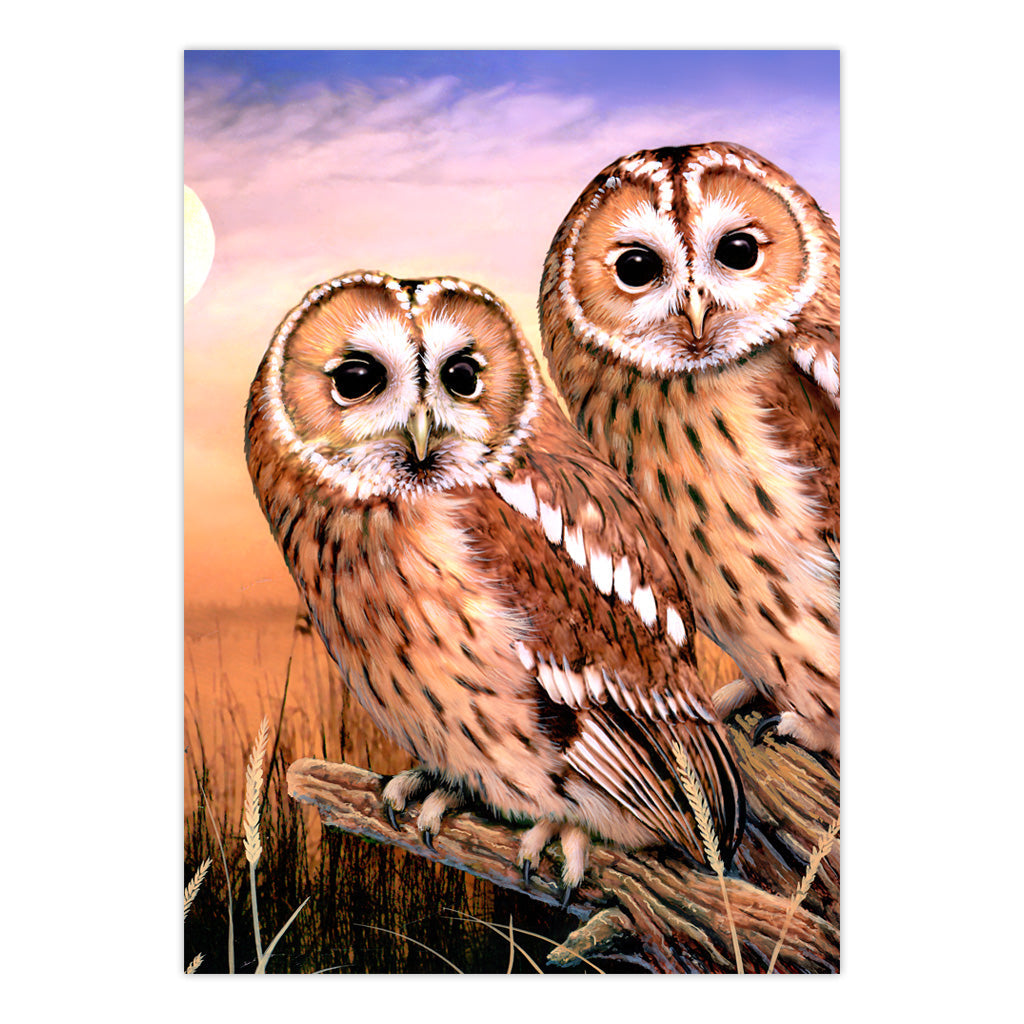 PJS87 | Painting by numbers™ 10pc 8.75" x 11.375" Tawny Owls Painting Project