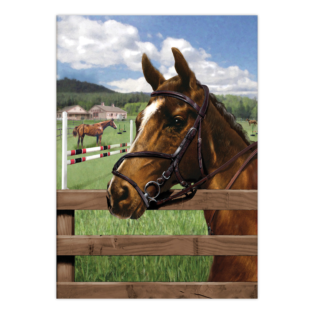 PJS88 | Painting by numbers™ 10pc 8.75" x 11.375" Equine Paddock Painting Project