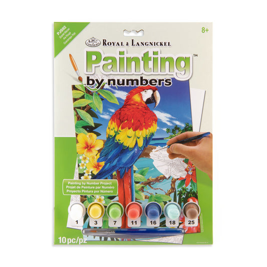 PJS92 | Painting by numbers™ 10pc 8.75" x 11.375" Red Scarlet Macaw Painting Project