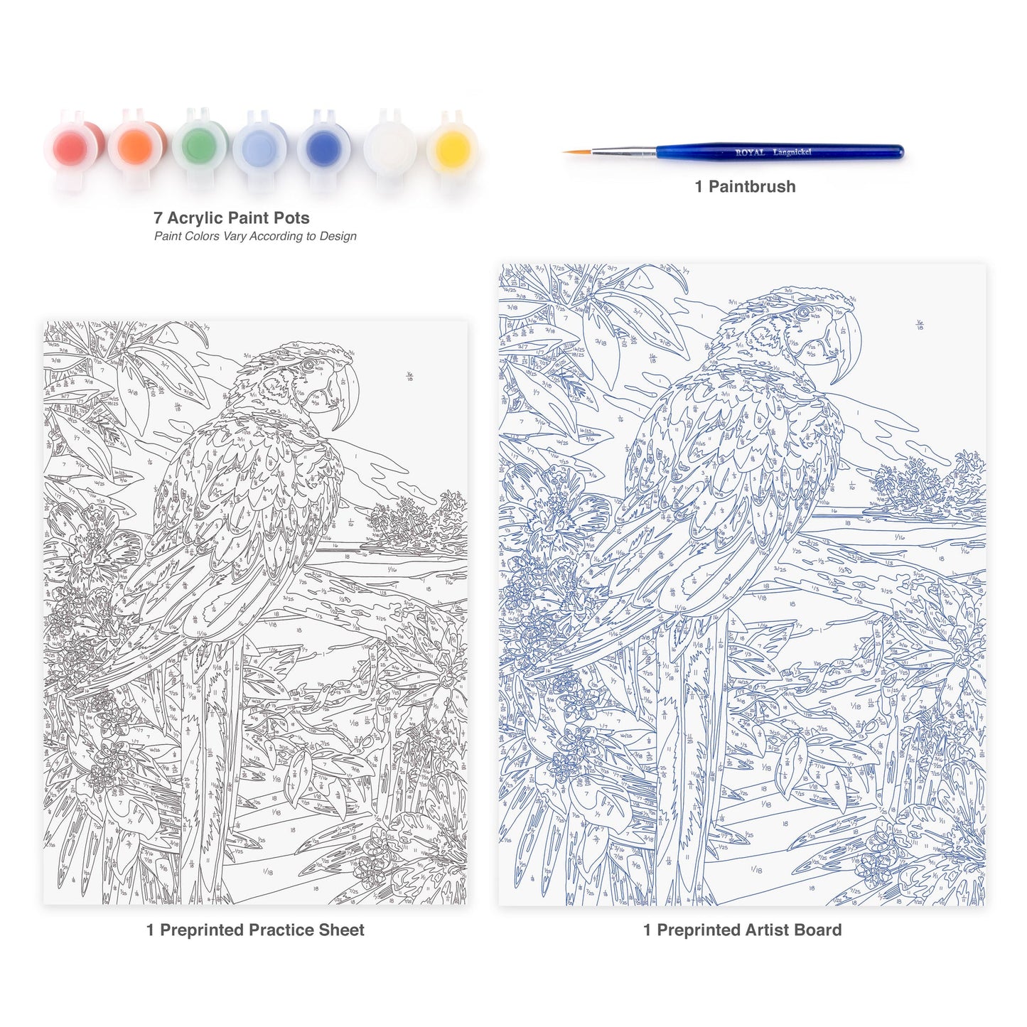 PJS92 | Painting by numbers™ 10pc 8.75" x 11.375" Red Scarlet Macaw Painting Project