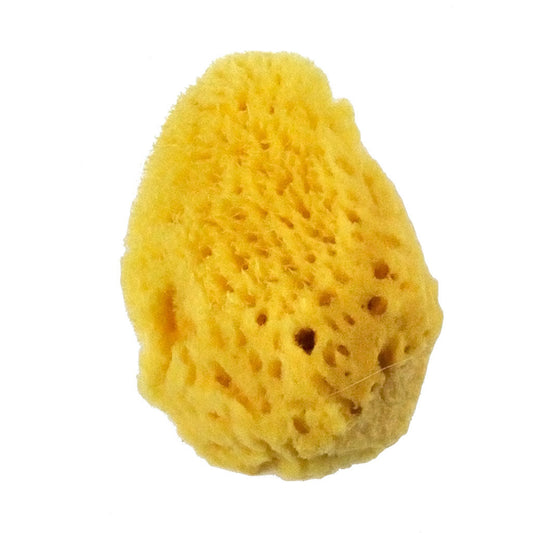 R2001-B - Bulk Sea Silk Sponges - 1.5" - 2"