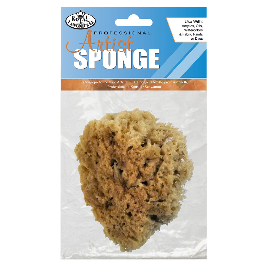 R2007 - Sea Wool Sponges - 3" - 4"