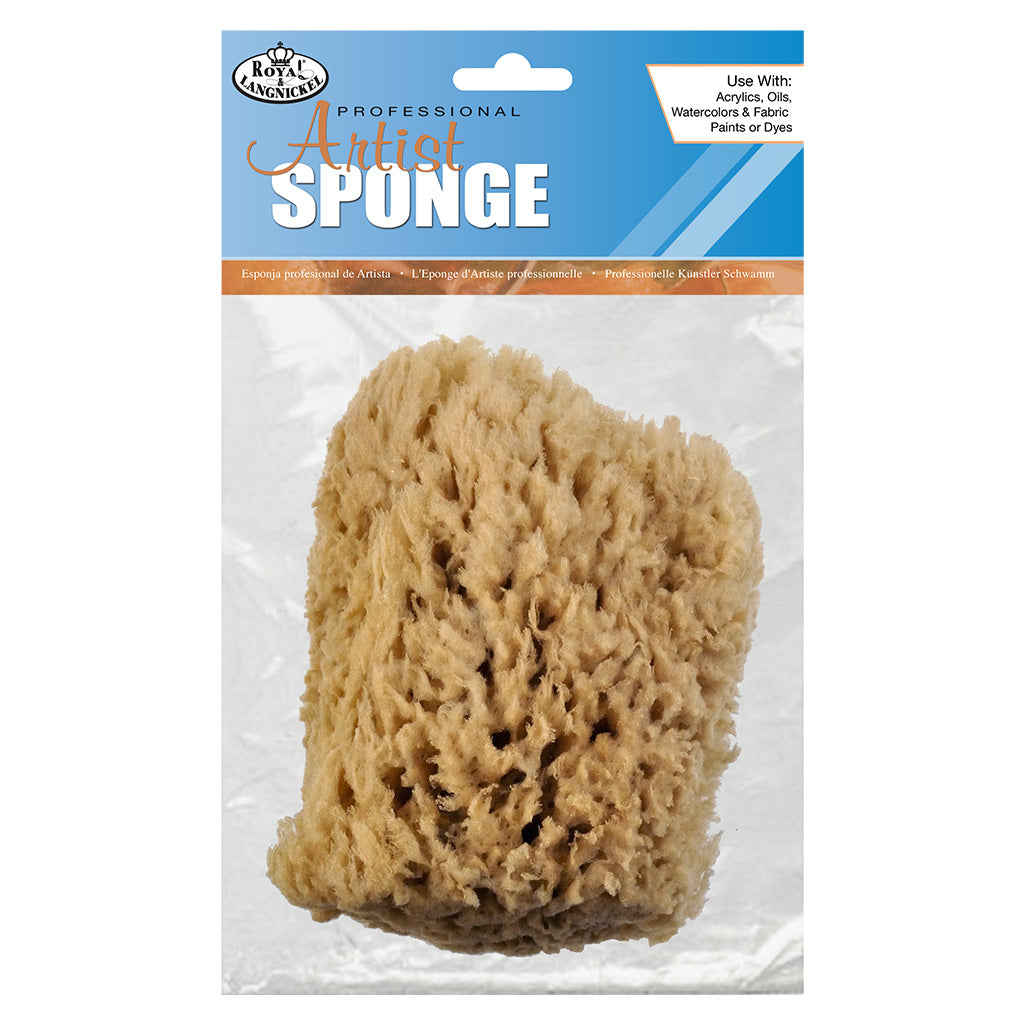 R2020 - Sea Wool Sponges - 5" - 6"