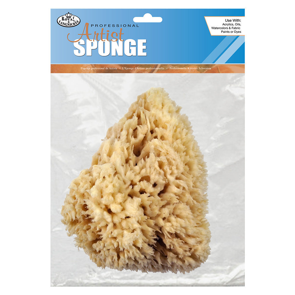 R2021 - Sea Wool Sponges - 6" - 7"