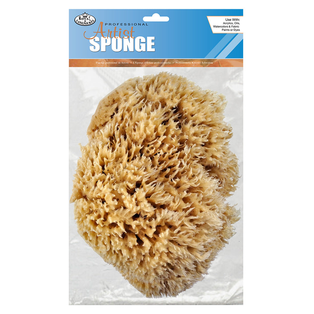 R2022 - Sea Wool Sponges - 7" - 8"