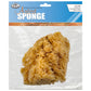 R2094 - Jumbo Caribbean Sponge