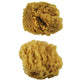 R2095 | 2pc Large Caribbean Sponges