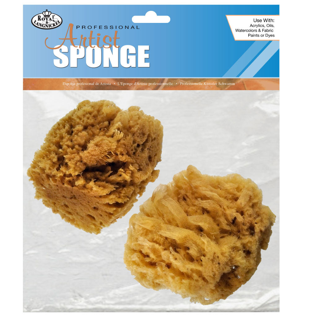 R2095 - 2pc Large Caribbean Sponges