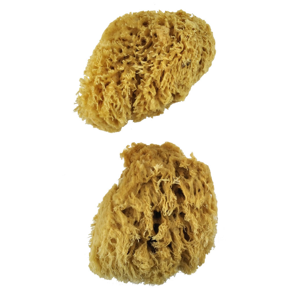 R2097 | 2pc Large Wool Sponge Set