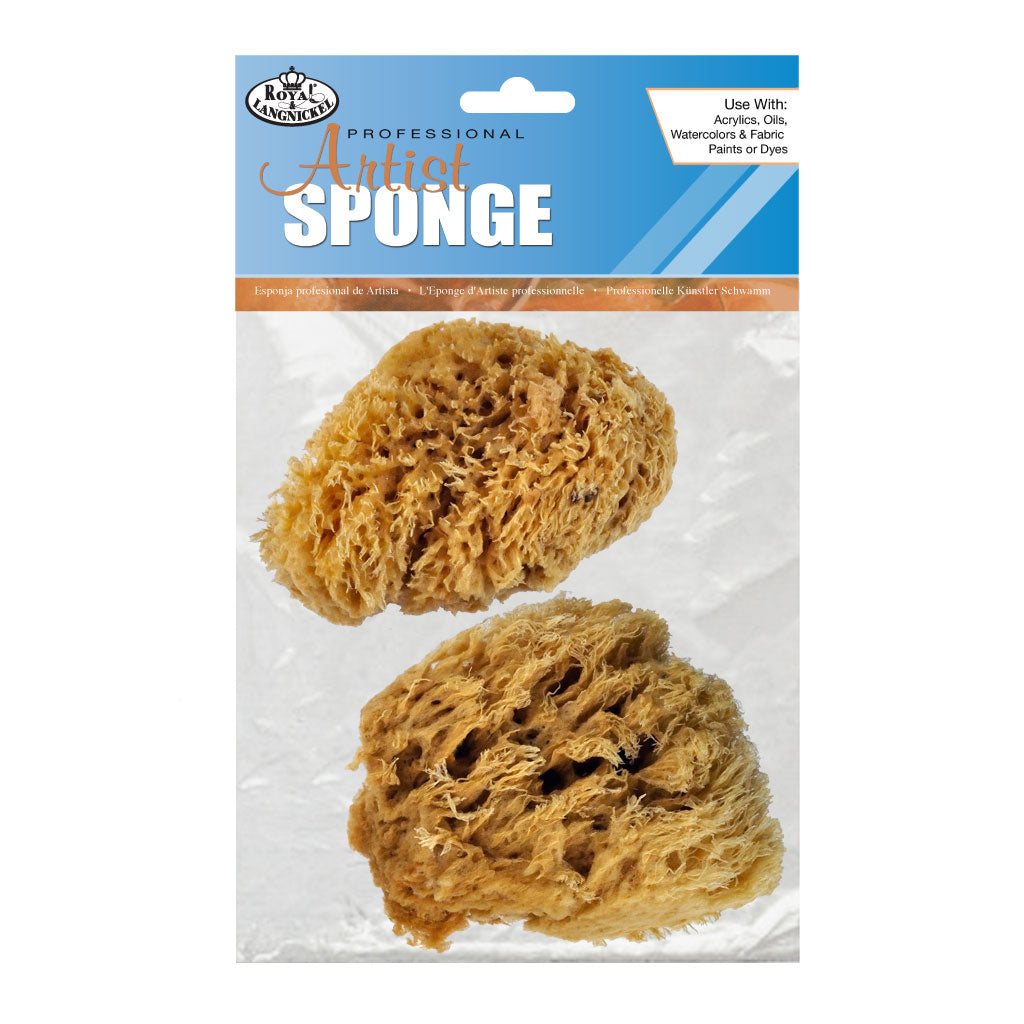 R2097 - 2pc Large Wool Sponge Set