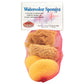 R2098 - 6pc Watercolor Sponge Set