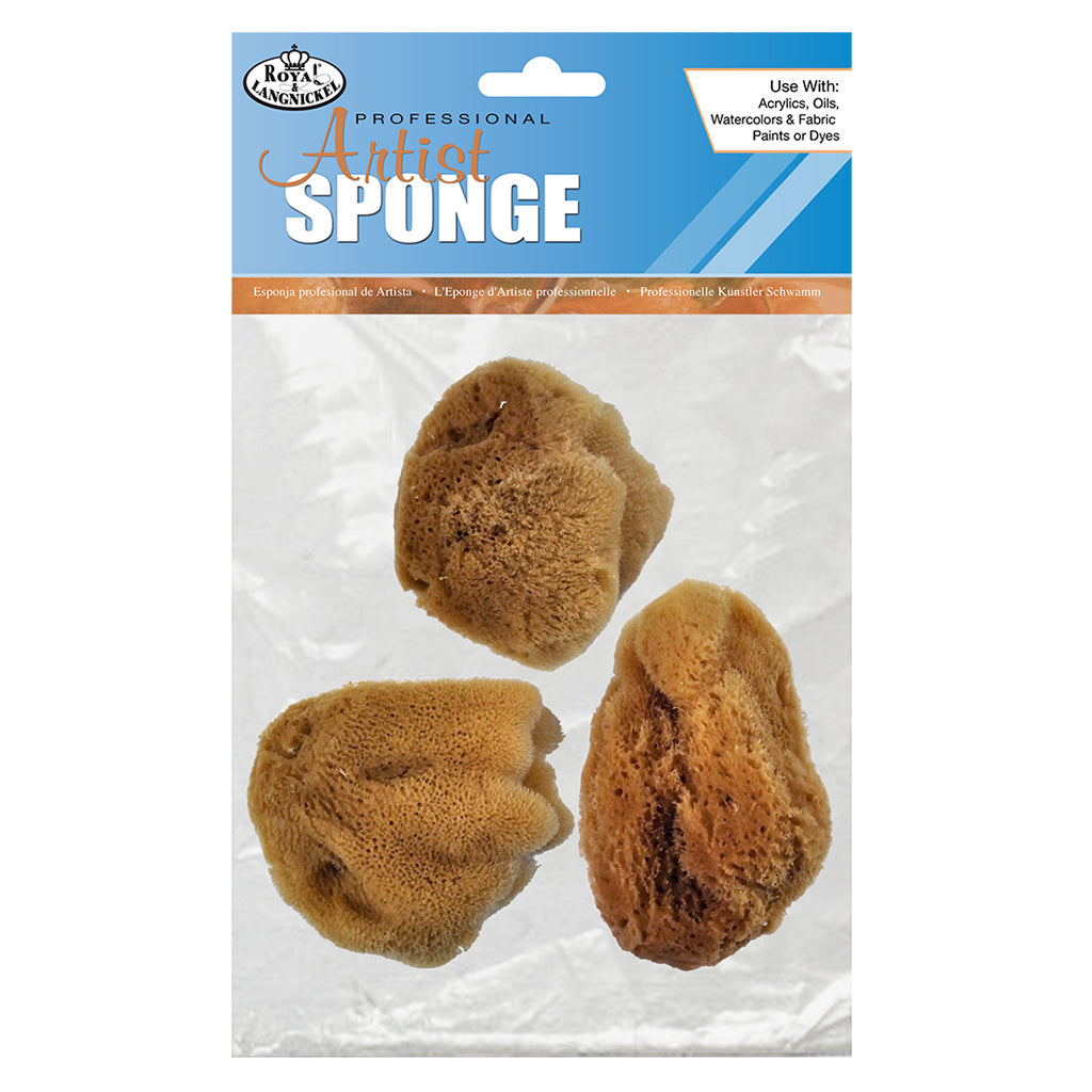 R2112 - 3pc Large Silk Sponge Set