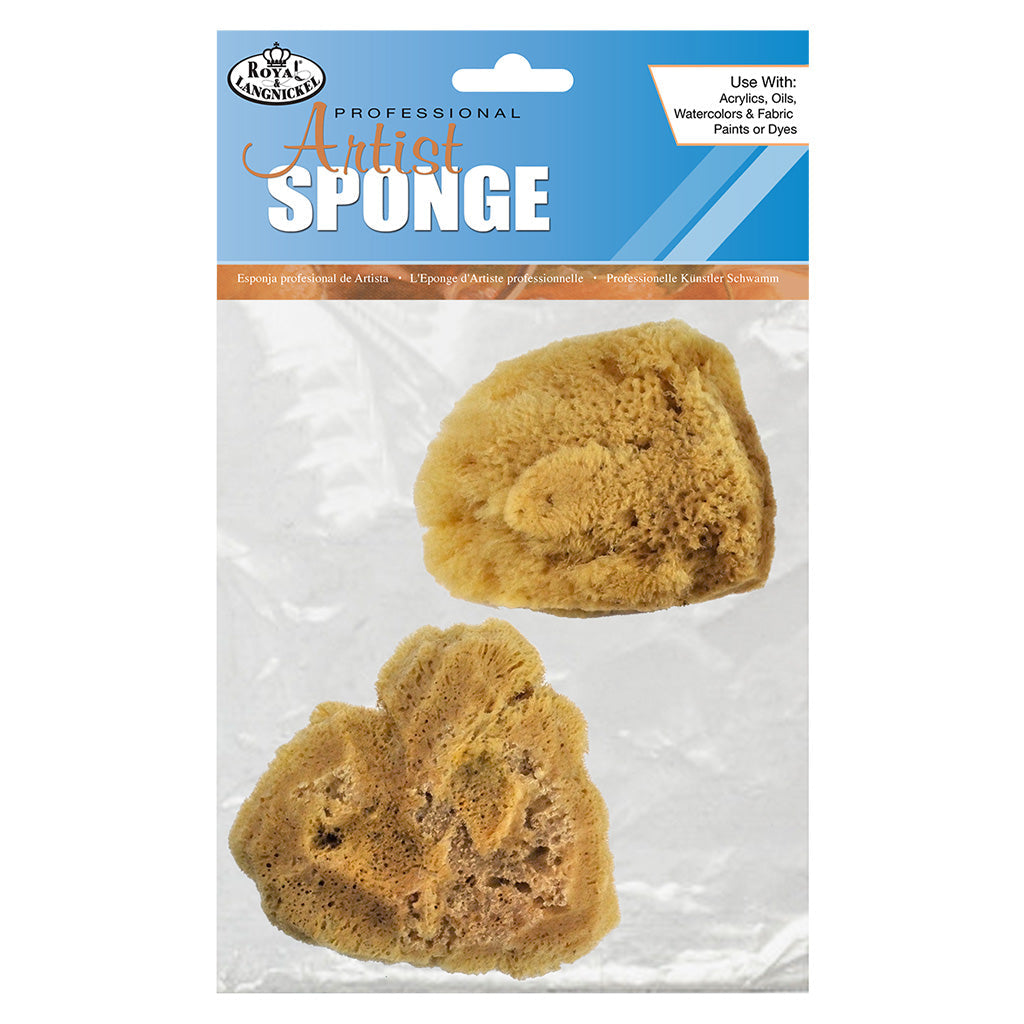 R2113 - 2pc Jumbo Silk Sponge Set