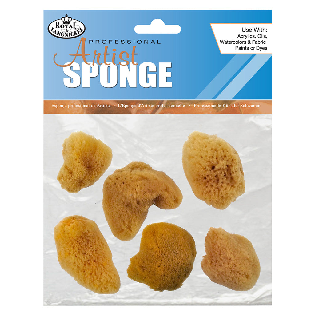 R2114 - 6pc Small Silk Sponge Set