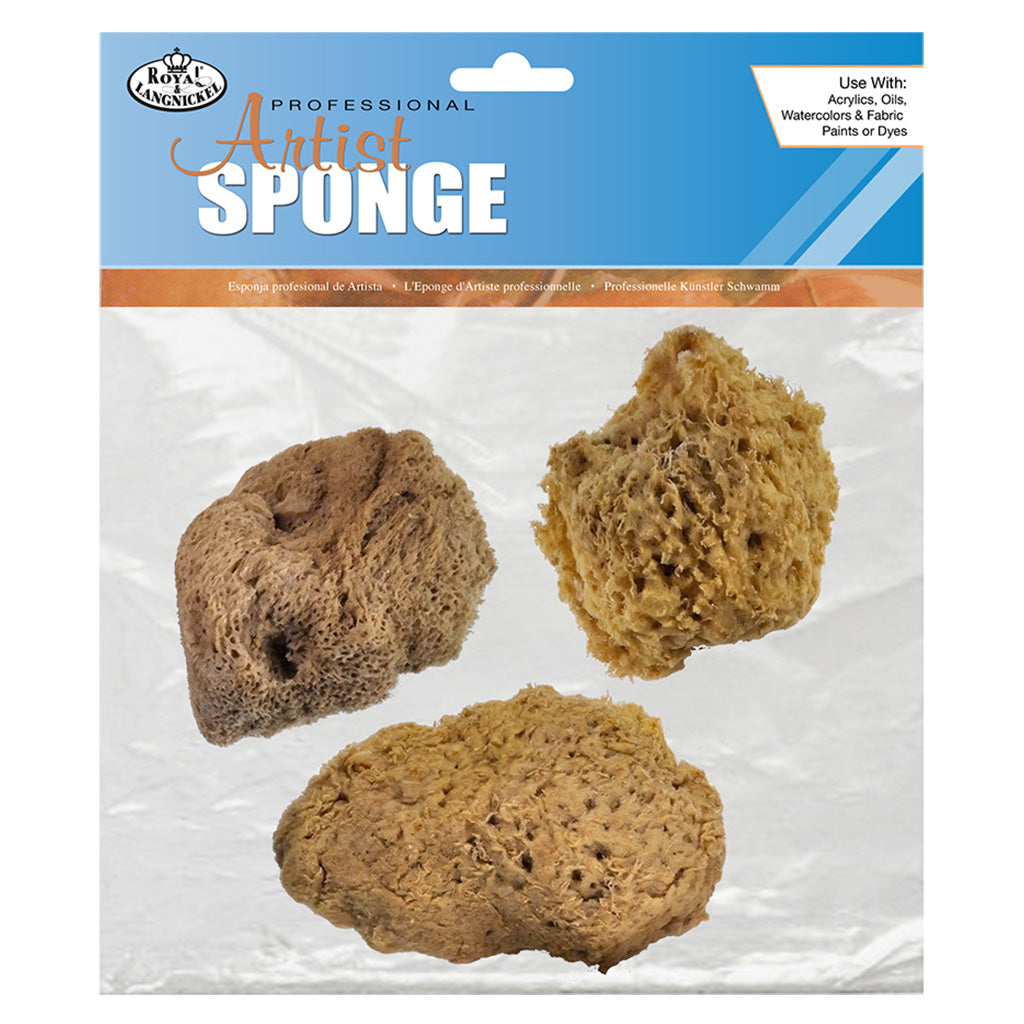 R2116 - 3pc Large Wool Sponge Set