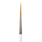 R585-2 - Royal Gold™ Script Liner Brush Size 2