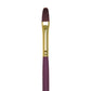 R6900T-4 - Bordeaux™ Filbert Brush - 4