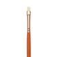 R7500B-2 - Vienna™ Bright Brush - 2