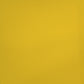 RAA-107 paint swatch
