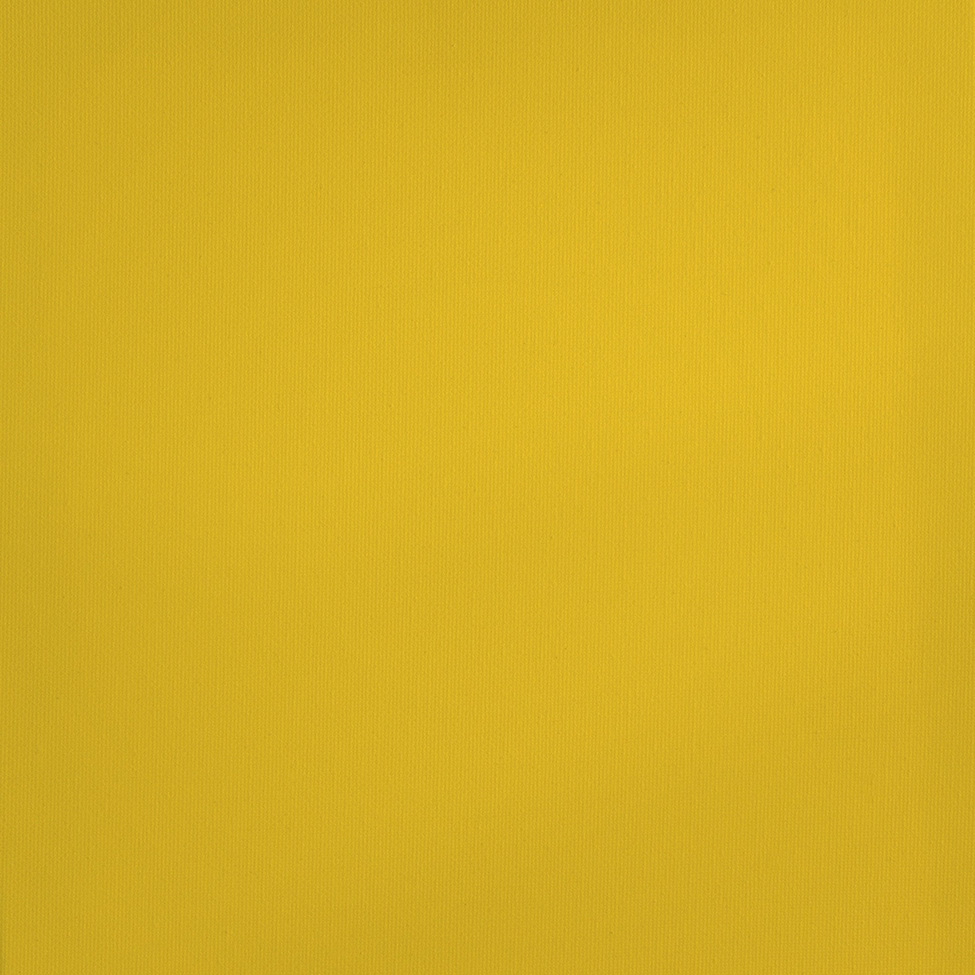 RAA-107 paint swatch