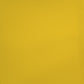 RAA-107 paint swatch