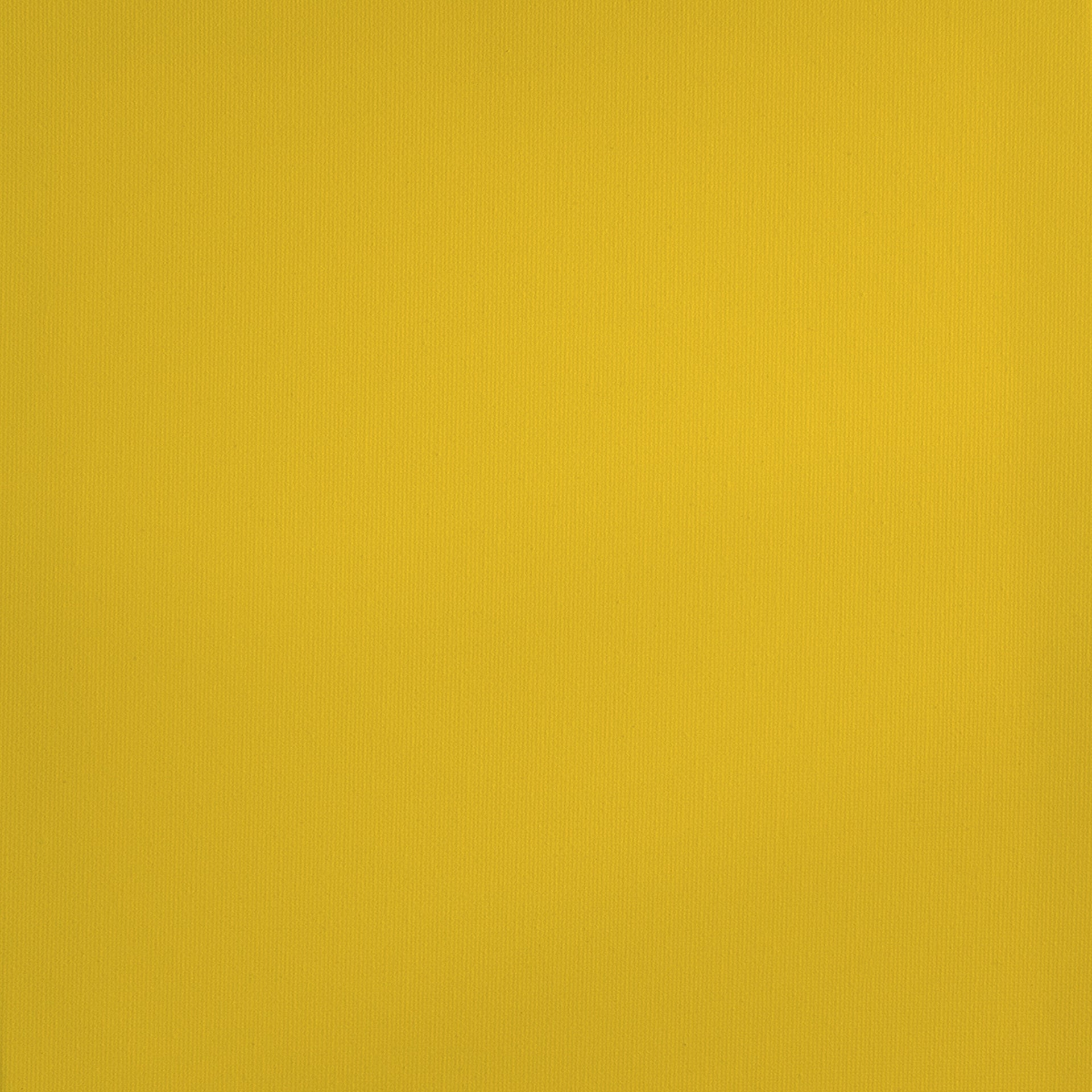 RAA-107 paint swatch