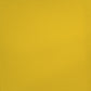 RAA-107 paint swatch
