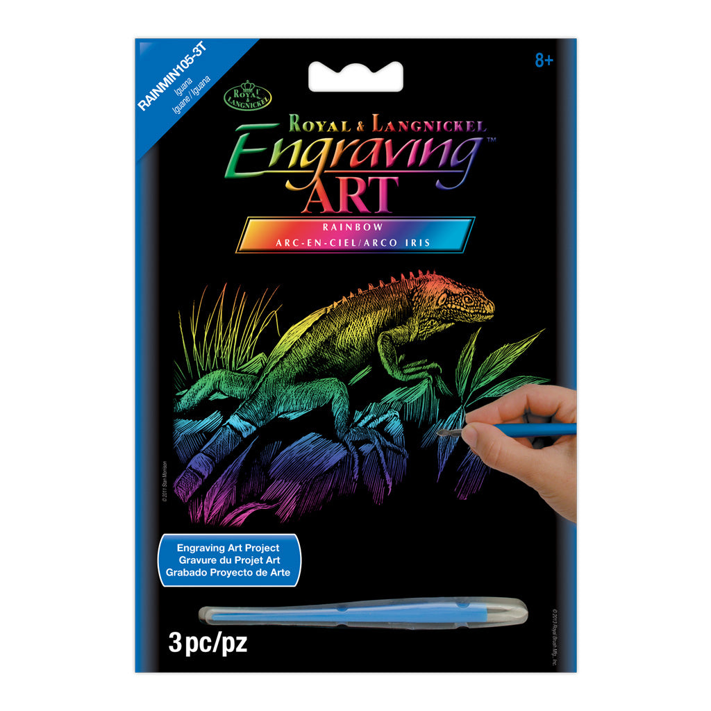 RAINMIN-105 - Engraving Art™ 5" x 7" Iguana Rainbow Foil Project